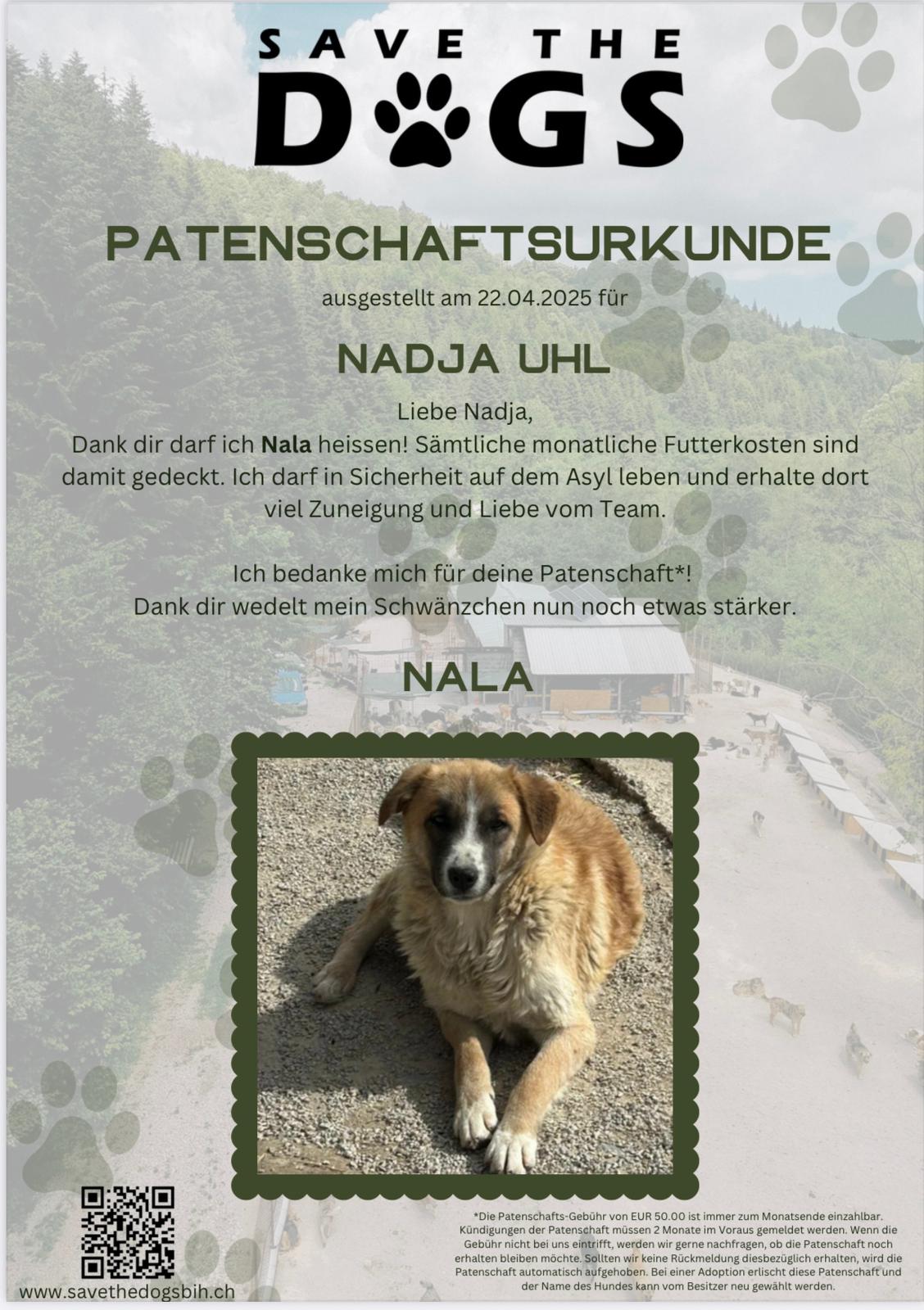 Galeriebild 1